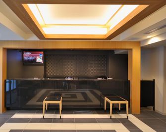 Dormy Inn Ueno Okachimachi - Tô-ky-ô - Lễ tân