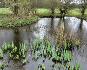 Brampton Dales Farm B&B - Gainsborough - Outdoor view