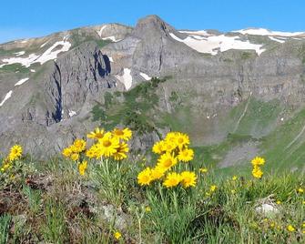 Ouray Inn - Ouray