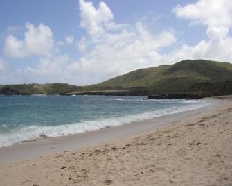 Panoramique Hotel - Sainte-Luce - Strand