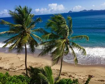 Petite Anse Hotel - Sauteurs - Beach