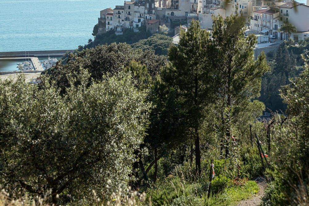 Hotel Belvedere - Sperlonga - Buiten zicht