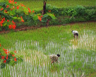 The Gecho Inn Country - Jepara - Buiten zicht