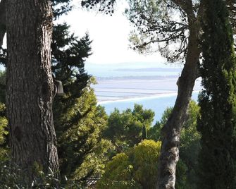Homerez - Comf. Apart Hyères - Hyères - Buiten zicht