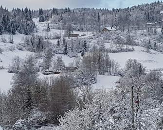 Traditional Mountain Chalet, located in the Haut-Jura Natural Park - La Pesse - Vista del exterior