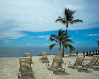 Ragged Edge Resort & Marina - Islamorada - Beach