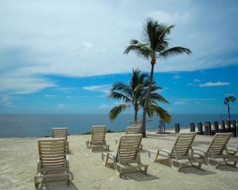 Ragged Edge Resort & Marina - Islamorada - Strand