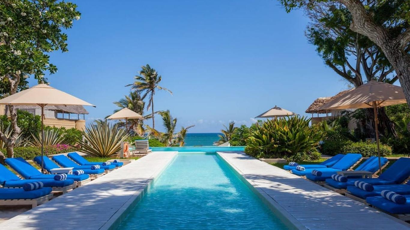 Medina Palms