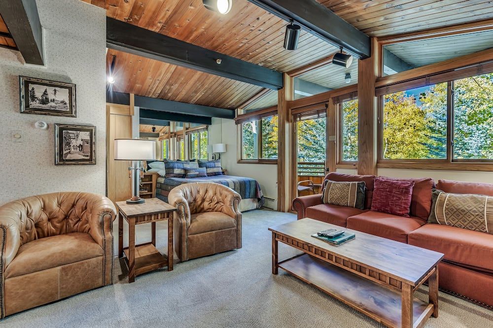 Laurelwood Condominiums 209 - Snowmass Village - Wohnzimmer
