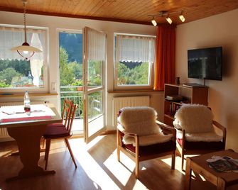 Gästehaus Steiert - Todtnau