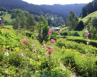 Gästehaus Heimenberg - Bad Rippoldsau - Outdoor view
