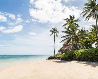 Nukubati Private Island Great Sea Reef - Nukubati Island - Playa