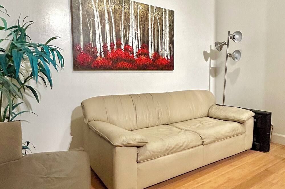 Cozy Private One-Bedroom Apartment Close to Williamsburg Brooklyn - ברוקלין - סלון