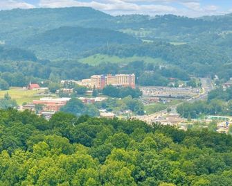 DooWop Den 50s Vibe Hot Tub - Bristol (Tennessee) - Vista esterna