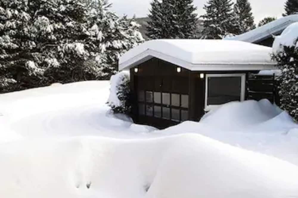 Auberge Mountain View Inn - มองต์ ทรอมบลอง - วิวภายนอก