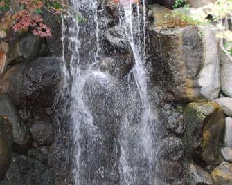 Radisson Hotel & Conference Center Rockford, IL - Rockford - Schlafzimmer