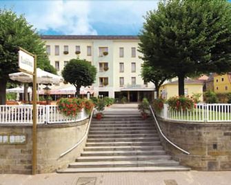 Elbhotel Bad Schandau - Bad Schandau