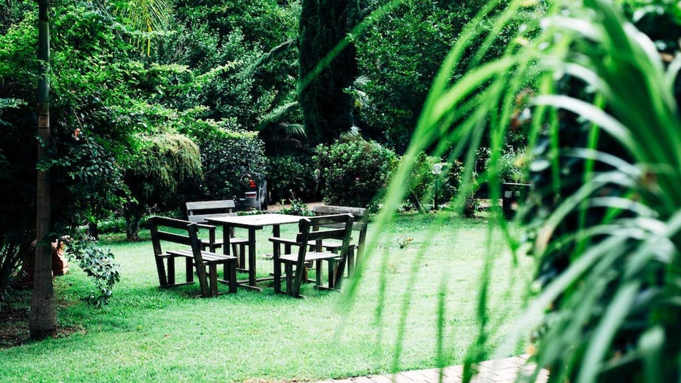 Tall Trees Motel Mountain Retreat