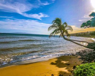 Hono Kai A10 - Maalaea - Beach