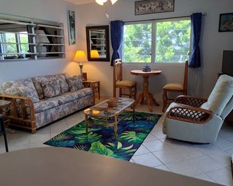 Spacious apartment near Christiansted & beaches with ocean views of Buck Island. - Christiansted - Sala de estar