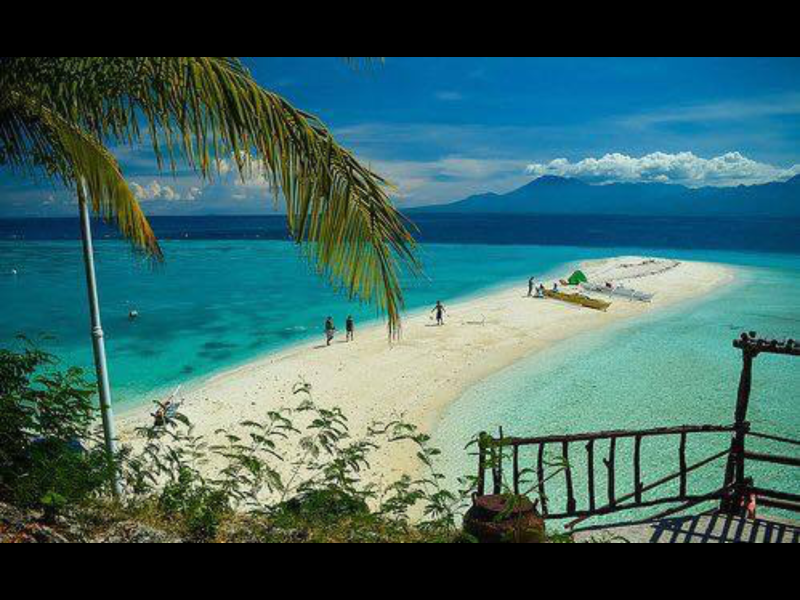 تامز ريزورت