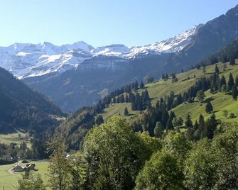 Hotel Baeren - Reichenbach im Kandertal - Outdoor view