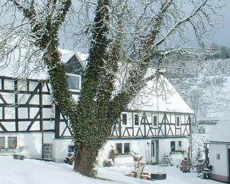 Pet friendly apartment - Bad Berleburg