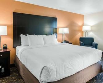 Comfort Inn & Suites - Ashland - Habitación