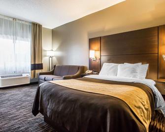 Quality Inn Dayton North - Vandalia - דייטון - חדר שינה