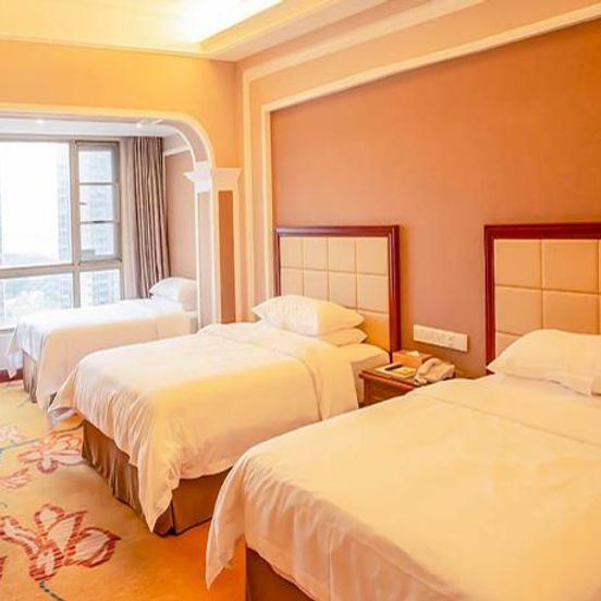 Vienna Hotel Shenzhen Songgang Liye Road image 1