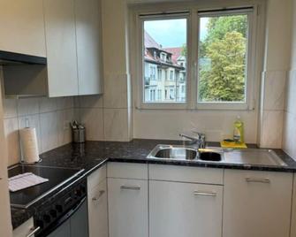 Executive 1 bedroom in the center - D11 - Zúrich - Cocina