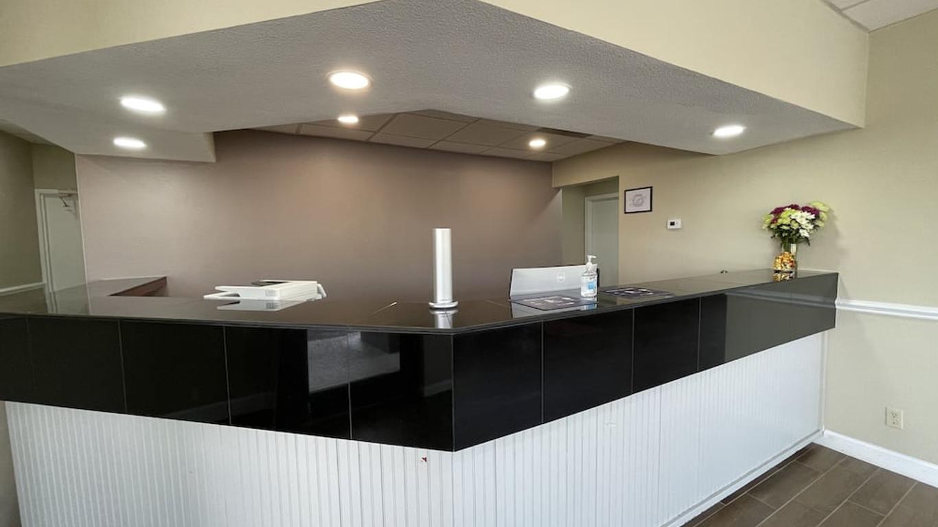 دريم لاند إن