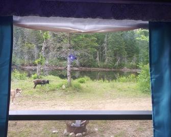 Raquette River RV Camping 1A June's Retreat - Tupper Lake - Balcony