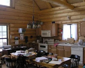 Mountain House Vacation Rental - Lake City - Kitchen