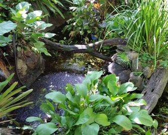 Cairns Gateway Resort - Cairns - Outdoor view