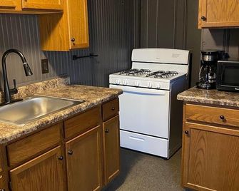 Recently Updated Beachfront Resort Cottage #3 - Port Austin - Kitchen