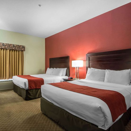 Comfort Inn & Suites Airport South image 1