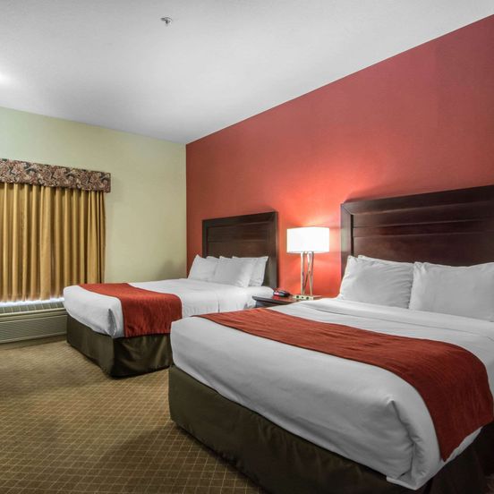 Comfort Inn & Suites Airport South image 1