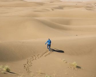 Bivouac Les Nomades - Foum Zguid
