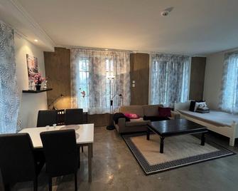 Moderne Studioleilighet - Nærme Skien Sentrum - Skien - Stue
