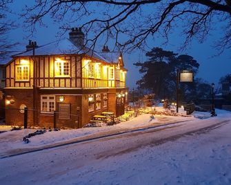 The Fishbourne - רייד - בניין