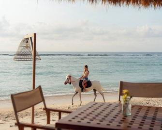 كوكانا ريزورت جيلي تراوانجان - Gili Trawangan - شاطئ