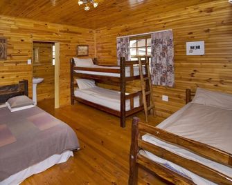 Hotel Lungile Lodge Beachfront Backpackers - Port Elizabeth