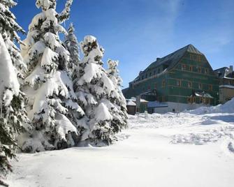 Hotel Zeleny Dum - Boží Dar - Budova