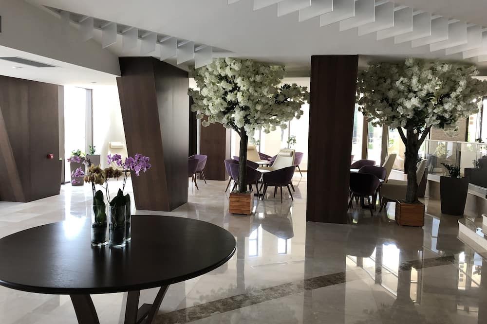 نيو بيلفيدير