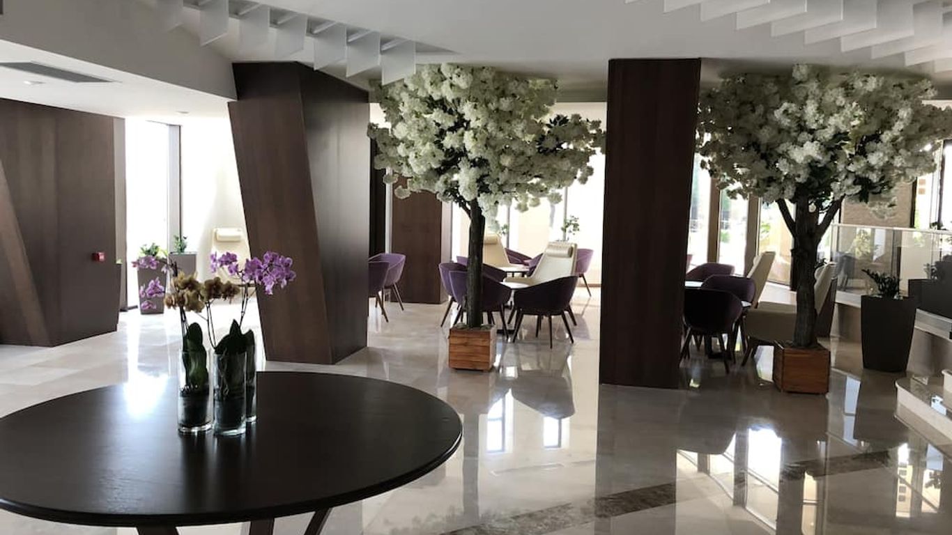 نيو بيلفيدير