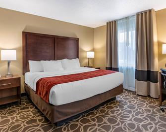 Comfort Inn Dyersville Near Field of Dreams - Dyersville - Habitación