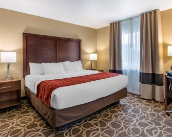 Comfort Inn Dyersville Near Field of Dreams - Dyersville - Habitación