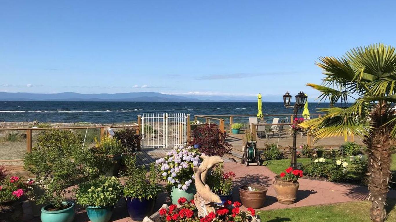 Buena Vista by the Sea