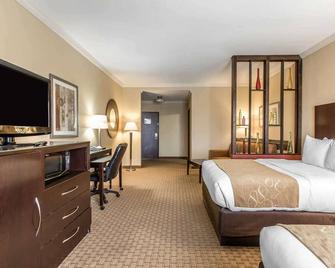 Comfort Suites Lawton Near Fort Sill - Lawton - Bedroom